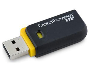 Kingston DataTraveler DT112 USB Flash Drive
