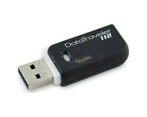 Kingston DataTraveler DT112 USB Flash Drive