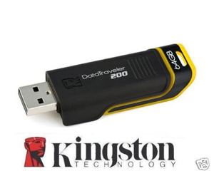 Kingston DataTraveler 200 Flash Drives