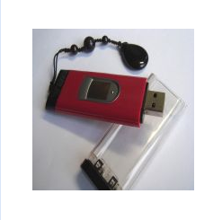 Fingerprint usb flash