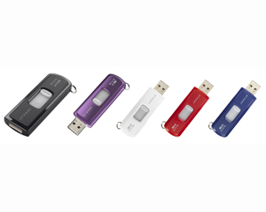 Sandisk Cruzer Micro Flash Drives