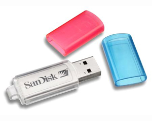 SanDisk Cruzer Micro Skin USB Flash Drive
