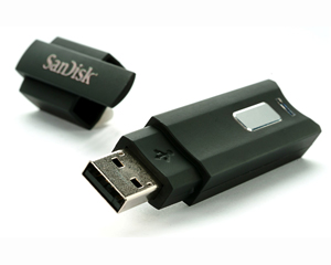 SanDisk Cruzer Enterprise USB Flash Drive