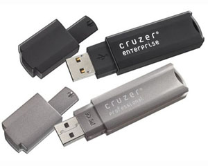 SanDisk Cruzer Professional Flash Drive