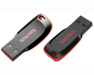 SanDisk Cruzer Blade USB Flash Drive