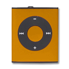 MP3 player (T-Flash card)